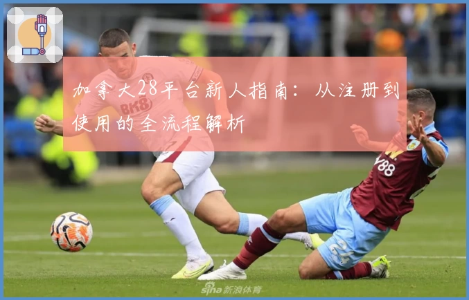 加拿大28平台新人指南：从注册到使用的全流程解析