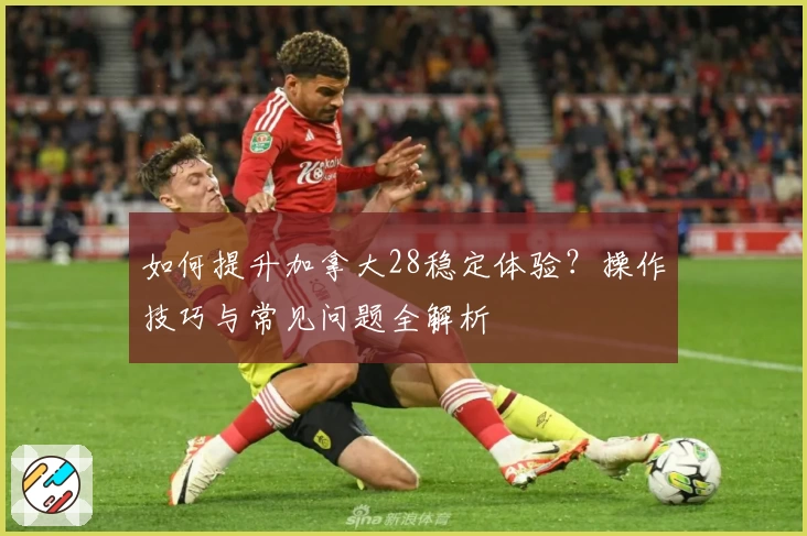 如何提升加拿大28稳定体验？操作技巧与常见问题全解析