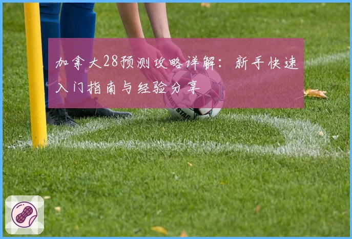 加拿大28预测攻略详解：新手快速入门指南与经验分享