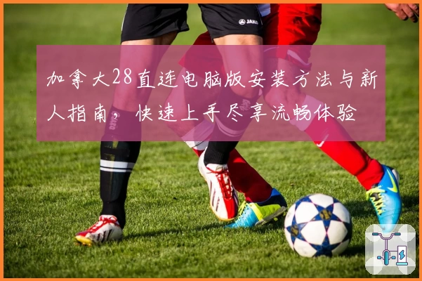 加拿大28直连电脑版安装方法与新人指南，快速上手尽享流畅体验