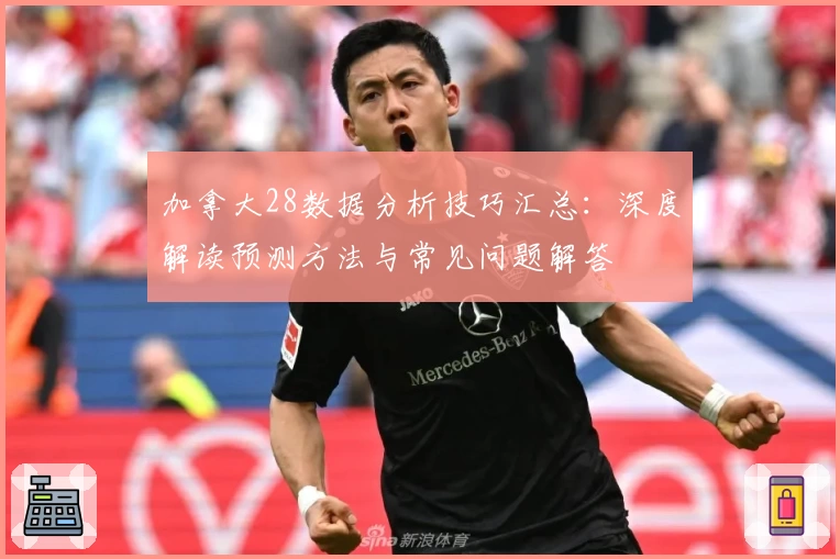 加拿大28数据分析技巧汇总：深度解读预测方法与常见问题解答