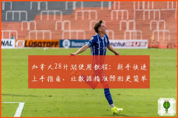 加拿大28计划使用教程：新手快速上手指南，让数据精准预测更简单