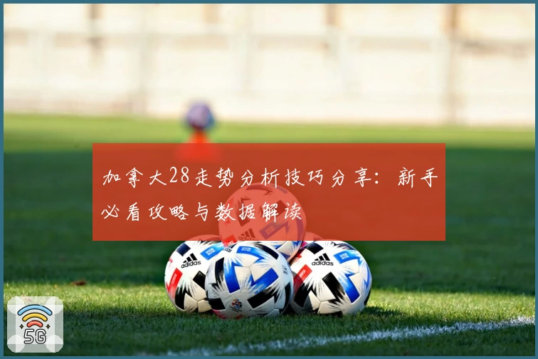 加拿大28走势分析技巧分享：新手必看攻略与数据解读