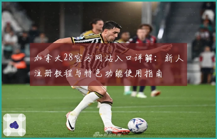 加拿大28官方网站入口详解：新人注册教程与特色功能使用指南