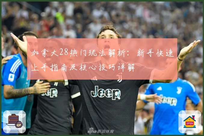 加拿大28热门玩法解析：新手快速上手指南及核心技巧详解