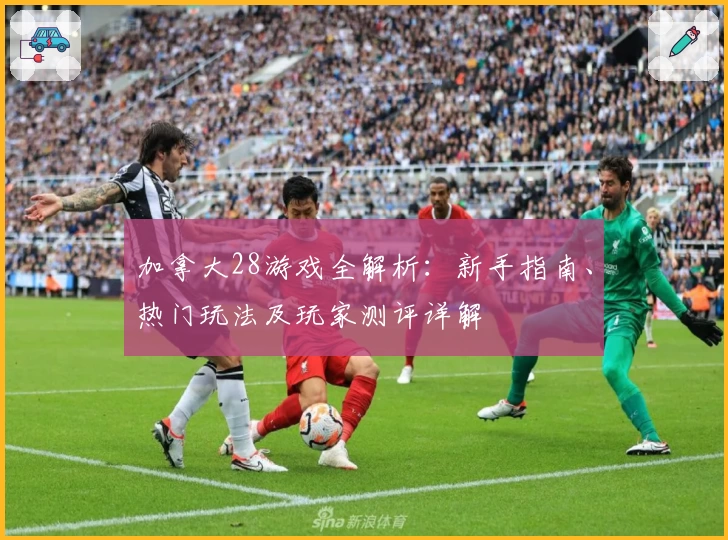 加拿大28游戏全解析：新手指南、热门玩法及玩家测评详解