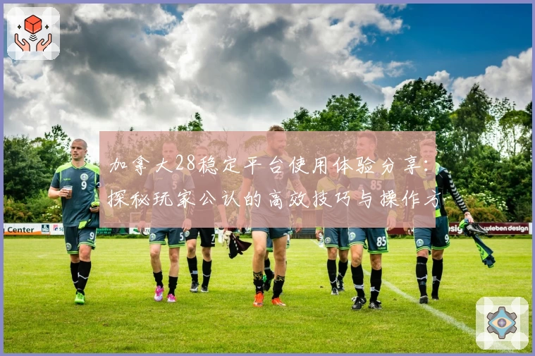 加拿大28稳定平台使用体验分享：探秘玩家公认的高效技巧与操作方法