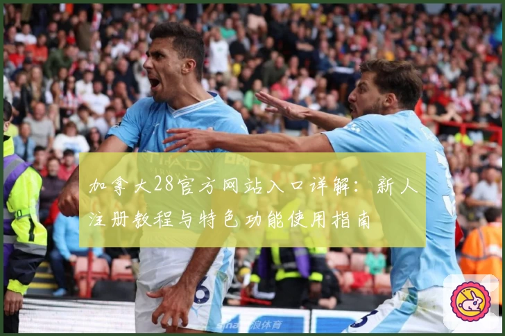 加拿大28官方网站入口详解:新人注册教程与特色功能使用指南