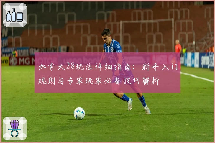 加拿大28玩法详细指南：新手入门规则与专家玩家必备技巧解析