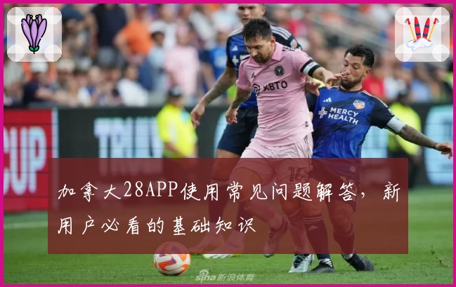 加拿大28APP使用常见问题解答，新用户必看的基础知识