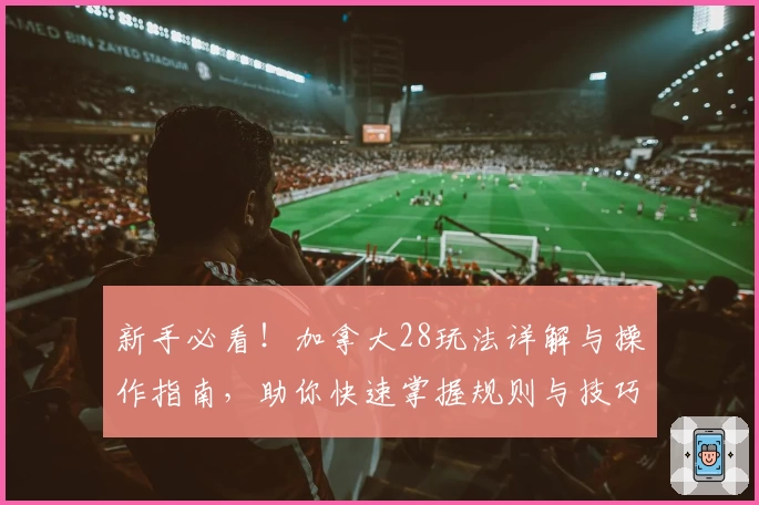 新手必看！加拿大28玩法详解与操作指南，助你快速掌握规则与技巧