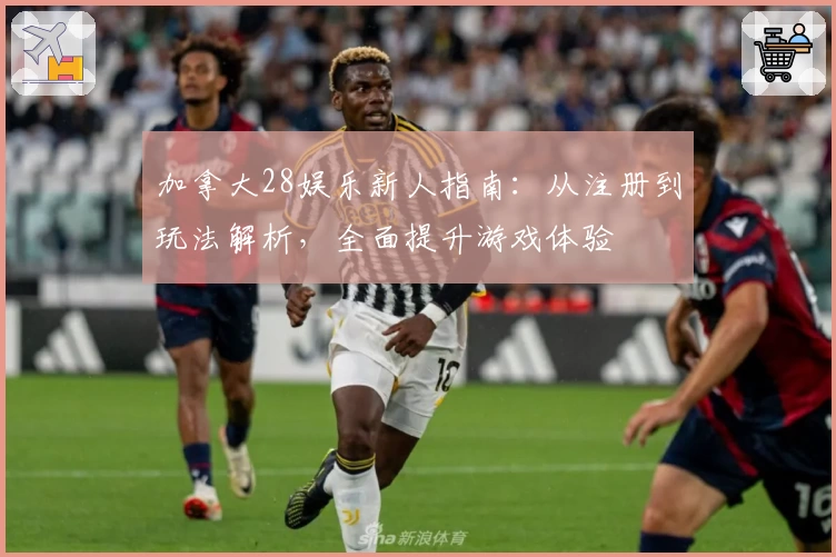 加拿大28娱乐新人指南：从注册到玩法解析，全面提升游戏体验