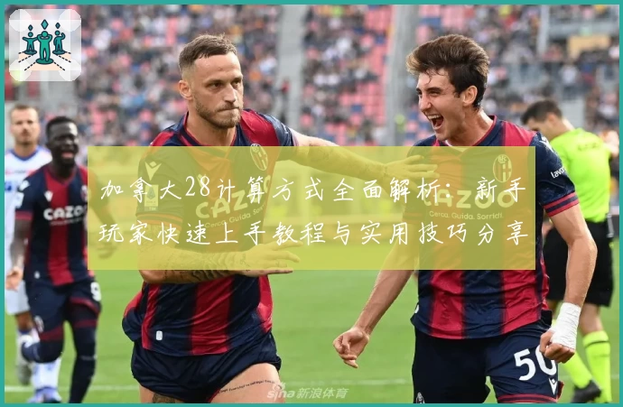 加拿大28计算方式全面解析：新手玩家快速上手教程与实用技巧分享