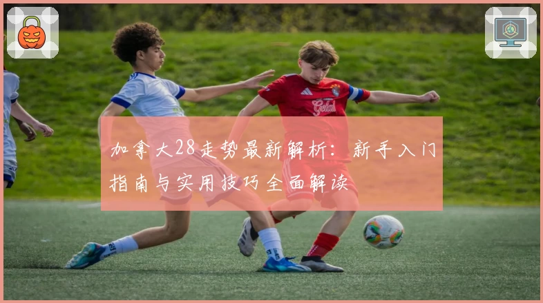 加拿大28走势最新解析：新手入门指南与实用技巧全面解读