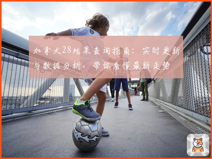 加拿大28结果查询指南：实时更新与数据分析，带你看懂最新走势