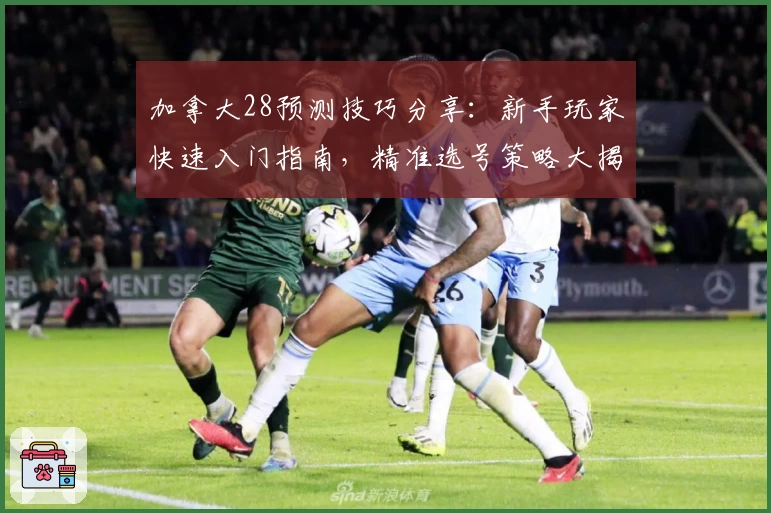 加拿大28预测技巧分享：新手玩家快速入门指南，精准选号策略大揭秘