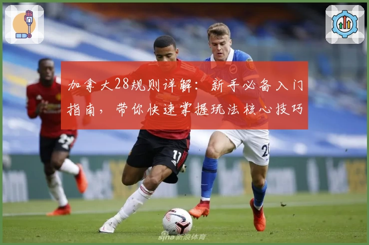 加拿大28规则详解：新手必备入门指南，带你快速掌握玩法核心技巧