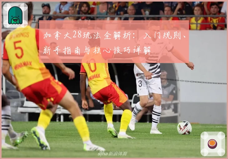 加拿大28玩法全解析：入门规则、新手指南与核心技巧详解