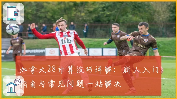 加拿大28计算技巧详解：新人入门指南与常见问题一站解决