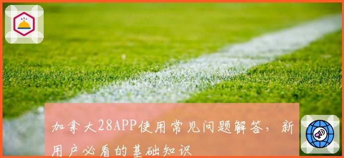 加拿大28APP使用常见问题解答，新用户必看的基础知识