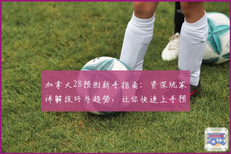 加拿大28预测新手指南：资深玩家详解技巧与趋势，让你快速上手预测玩法