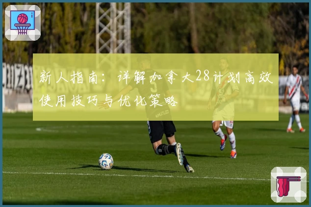 新人指南：详解加拿大28计划高效使用技巧与优化策略