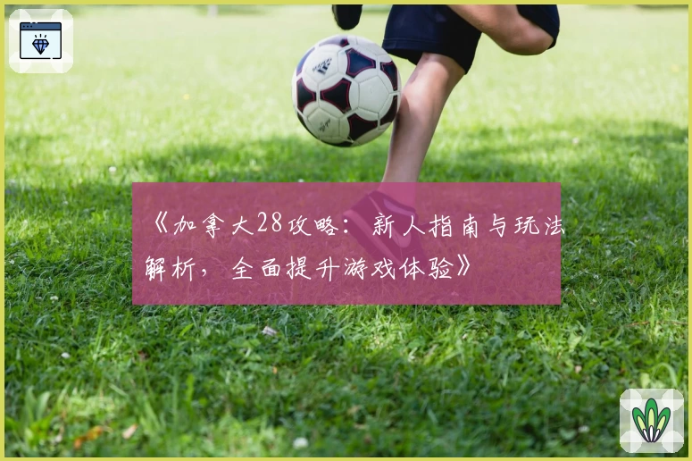 《加拿大28攻略：新人指南与玩法解析，全面提升游戏体验》