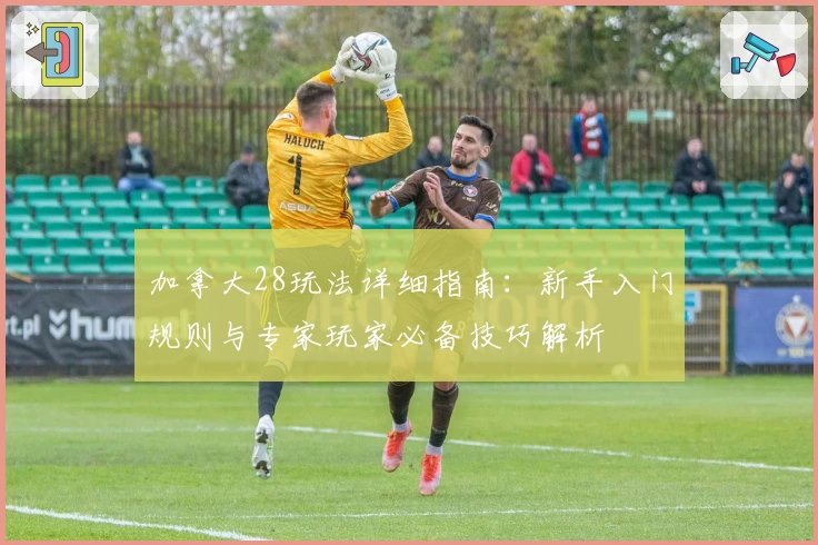 加拿大28玩法详细指南：新手入门规则与专家玩家必备技巧解析
