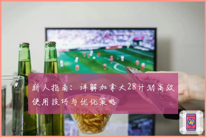 新人指南：详解加拿大28计划高效使用技巧与优化策略