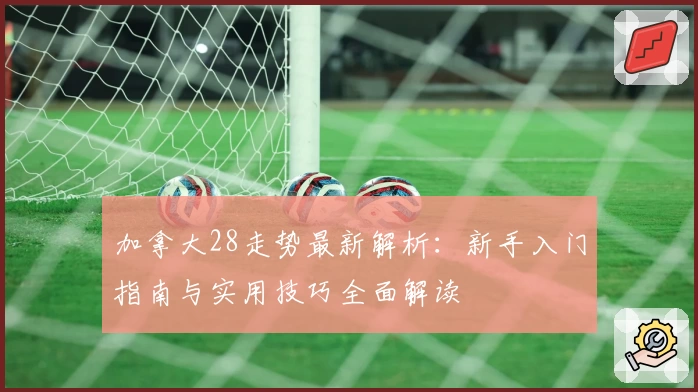 加拿大28走势最新解析：新手入门指南与实用技巧全面解读