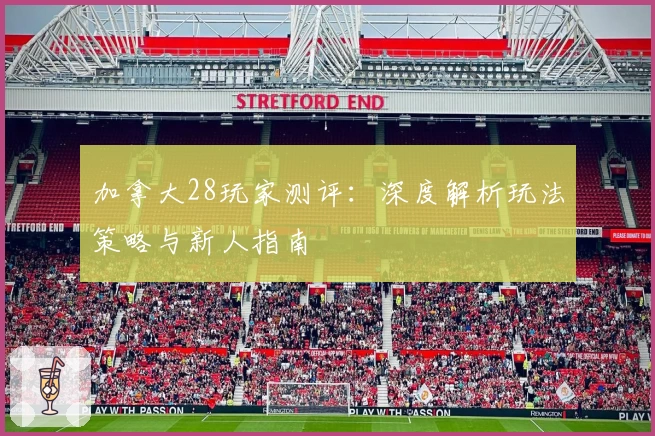 加拿大28玩家测评：深度解析玩法策略与新人指南