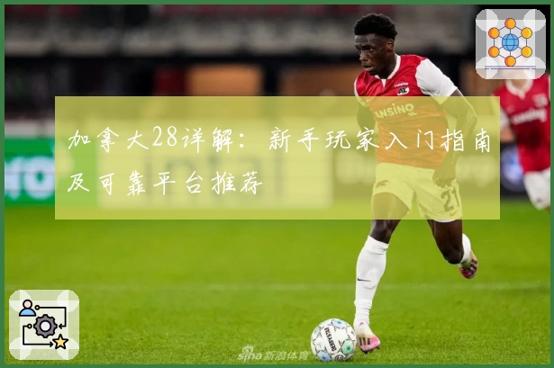 加拿大28详解：新手玩家入门指南及可靠平台推荐