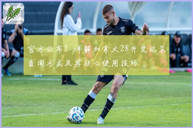 官方公布！详解加拿大28开奖记录查询方式及其核心使用技巧