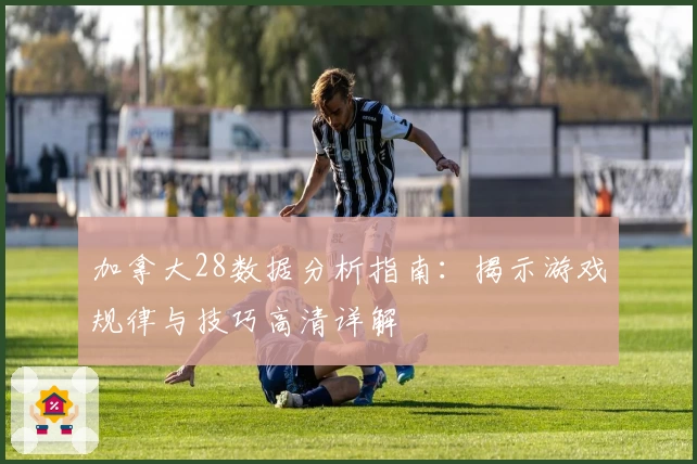 加拿大28数据分析指南：揭示游戏规律与技巧高清详解