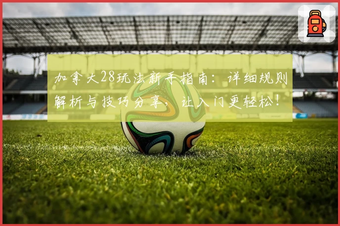 加拿大28玩法新手指南：详细规则解析与技巧分享，让入门更轻松！