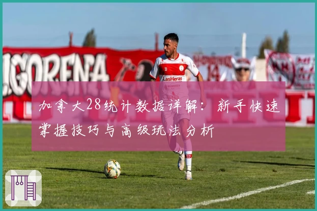 加拿大28统计数据详解：新手快速掌握技巧与高级玩法分析