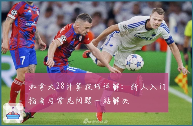 加拿大28计算技巧详解：新人入门指南与常见问题一站解决