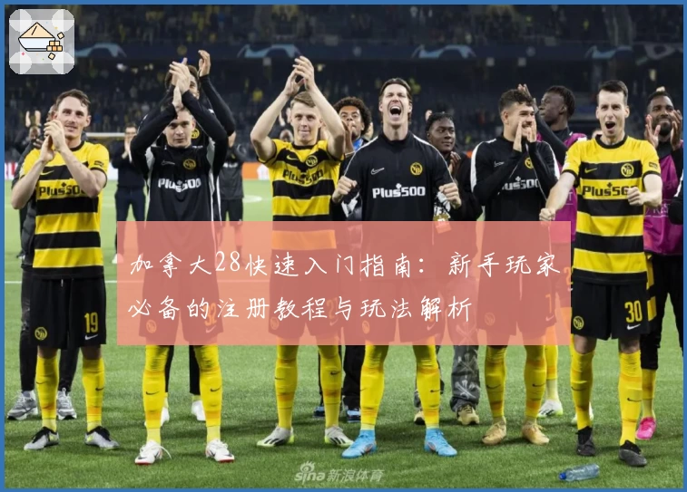 加拿大28快速入门指南：新手玩家必备的注册教程与玩法解析