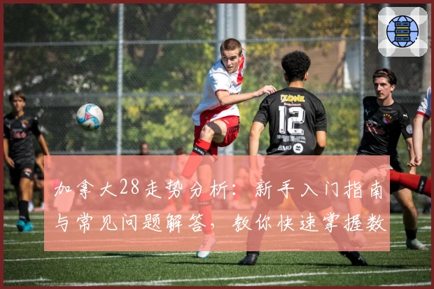 加拿大28走势分析：新手入门指南与常见问题解答，教你快速掌握数据规律
