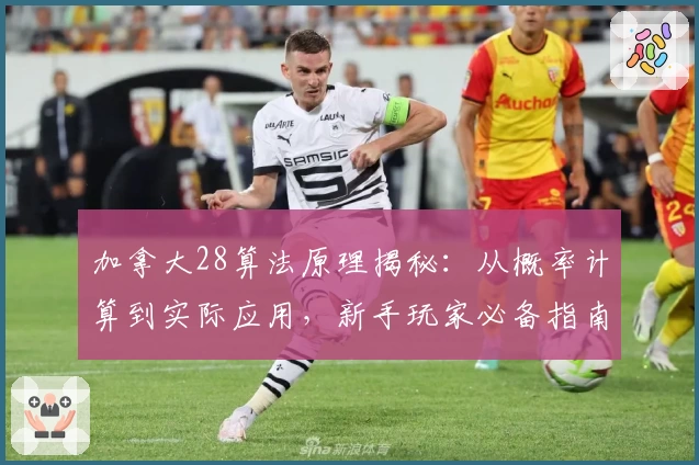 加拿大28算法原理揭秘：从概率计算到实际应用，新手玩家必备指南