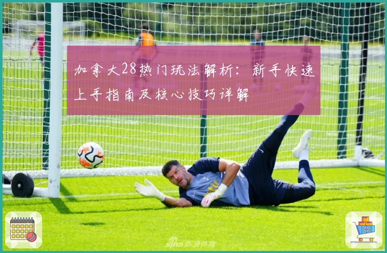 加拿大28热门玩法解析：新手快速上手指南及核心技巧详解