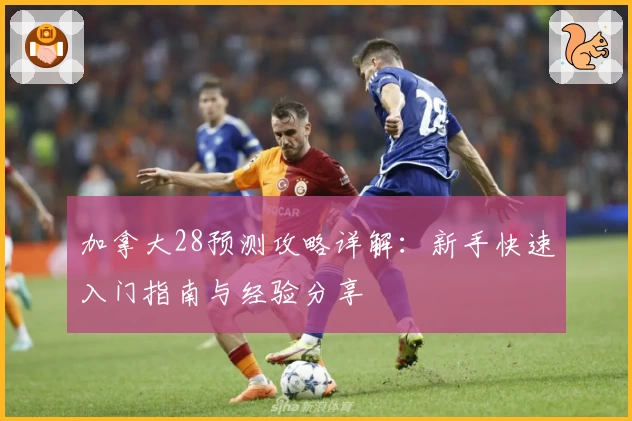 加拿大28预测攻略详解：新手快速入门指南与经验分享