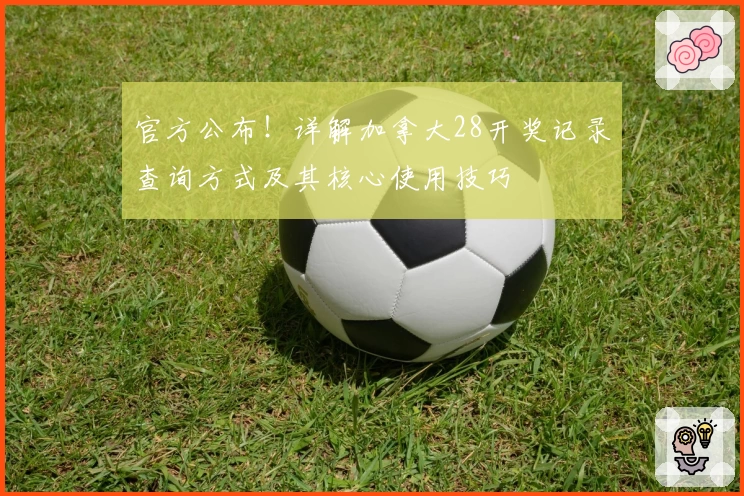 官方公布！详解加拿大28开奖记录查询方式及其核心使用技巧