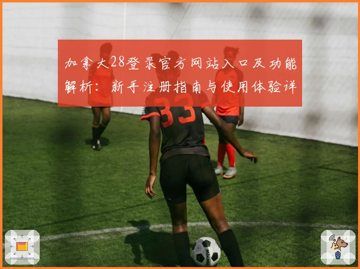 加拿大28登录官方网站入口及功能解析:新手注册指南与使用体验详解