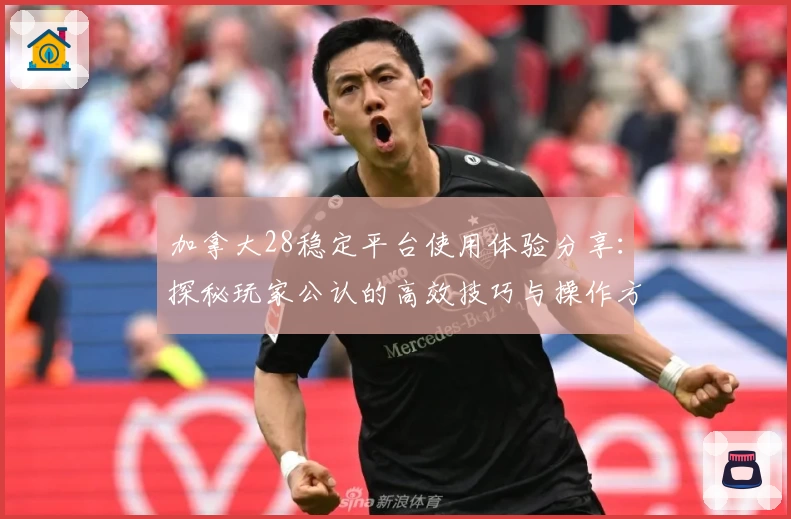 加拿大28稳定平台使用体验分享:探秘玩家公认的高效技巧与操作方法