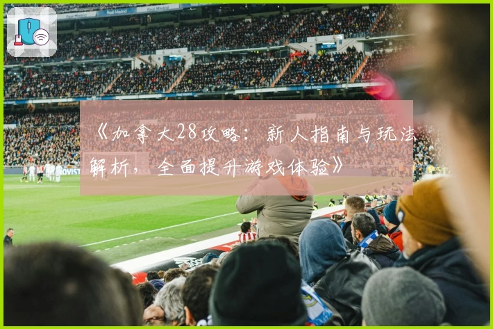 《加拿大28攻略：新人指南与玩法解析，全面提升游戏体验》
