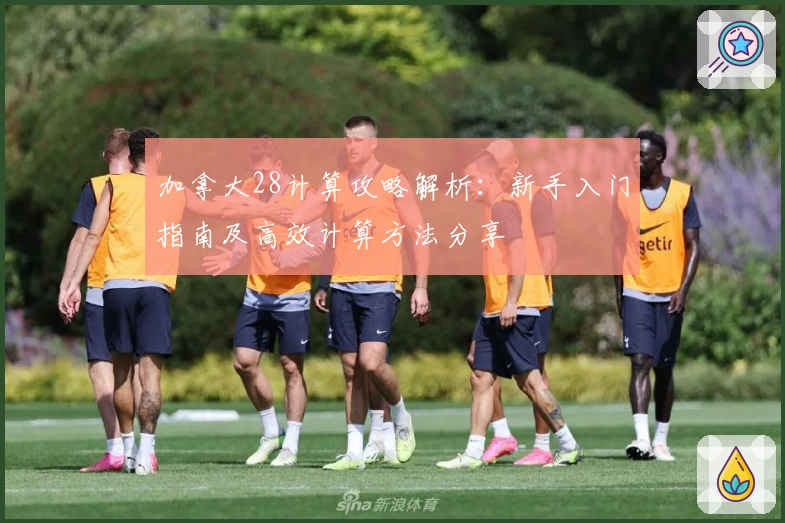 加拿大28计算攻略解析：新手入门指南及高效计算方法分享