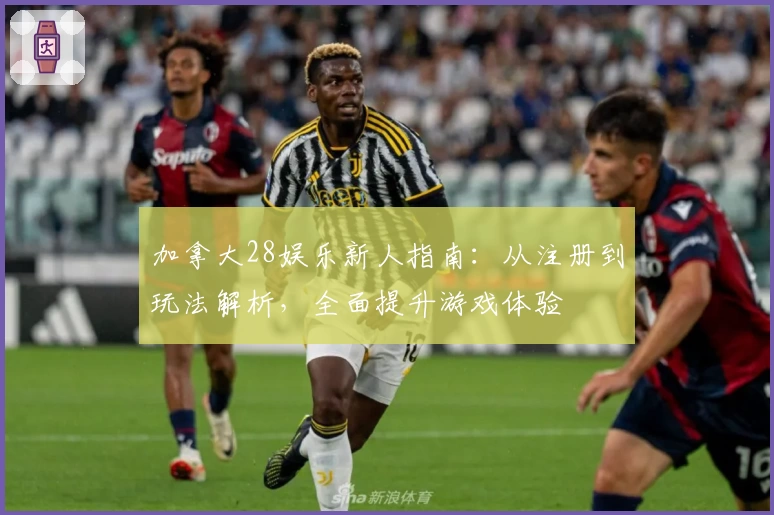 加拿大28娱乐新人指南：从注册到玩法解析，全面提升游戏体验